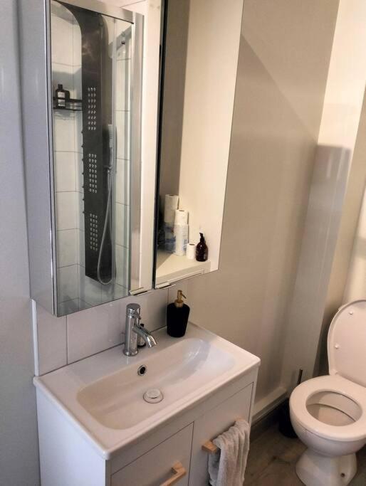 Charmant Logement, Vue Sur Toulouse 1 Min Du Metro Dış mekan fotoğraf